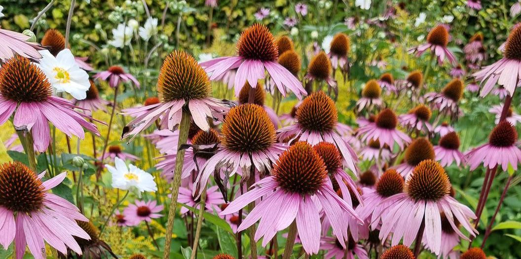 Huisartsenpraktijk Broekman